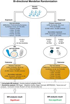 Gut microbiota alterations may increase the risk of prescription opioid use, but not vice versa: A two-sample bi-directional Mendelian randomization study